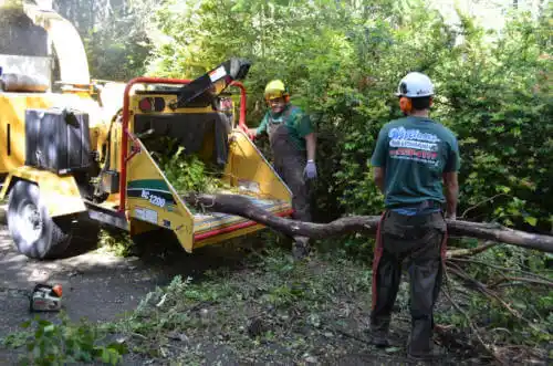 tree services Fort Smith